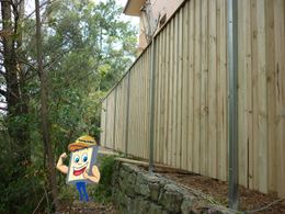 Timber fencing