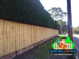 Timber fencing