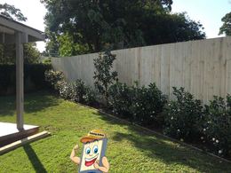 Timber fencing