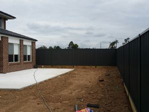 Colorbond fence in Blacktown