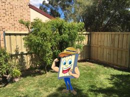 Timber fencing