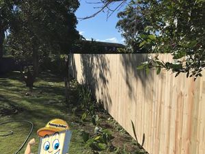 Single Paling Timber Fence