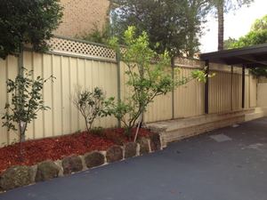 Colorbond Fence with Lattice Inserts