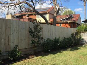 Treated Pine Single Paling Timber Fence