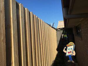 Treated Pine Lapped Timber Fence with No Top Capping