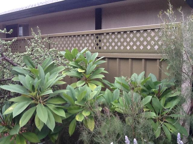 300 mm lattice fence extension on an existing Colorbond fence