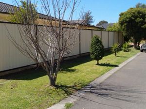 Colorbond Fencing Auburn
