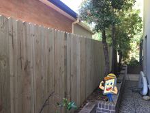 Single Paling Timber Fencing 1.8m High